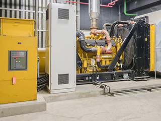 Cat Generators